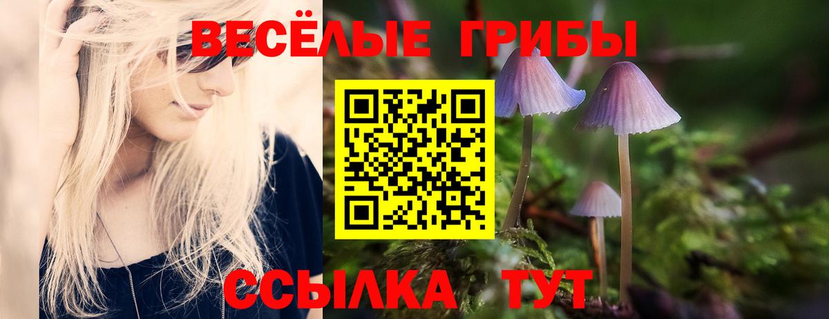 Кудрово  Псилоцибиновые грибы Psilocybine cubensis  Галлюциногенные грибы мухоморы  Вход с VPN 